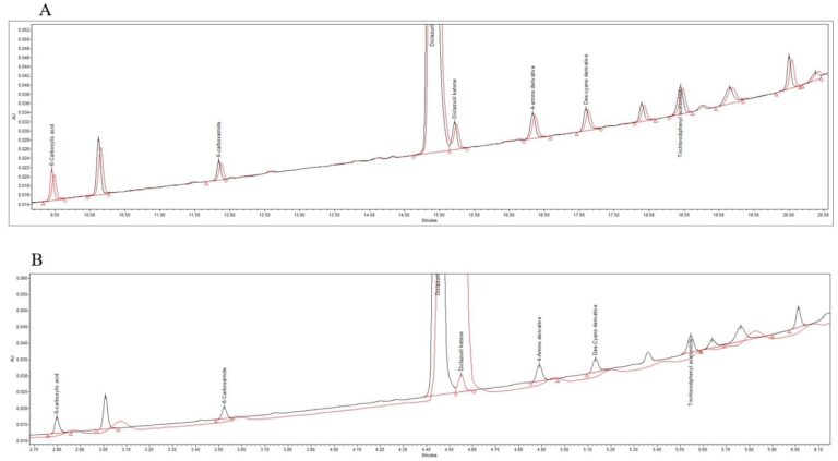 2023 PharmSci 360 Meeting