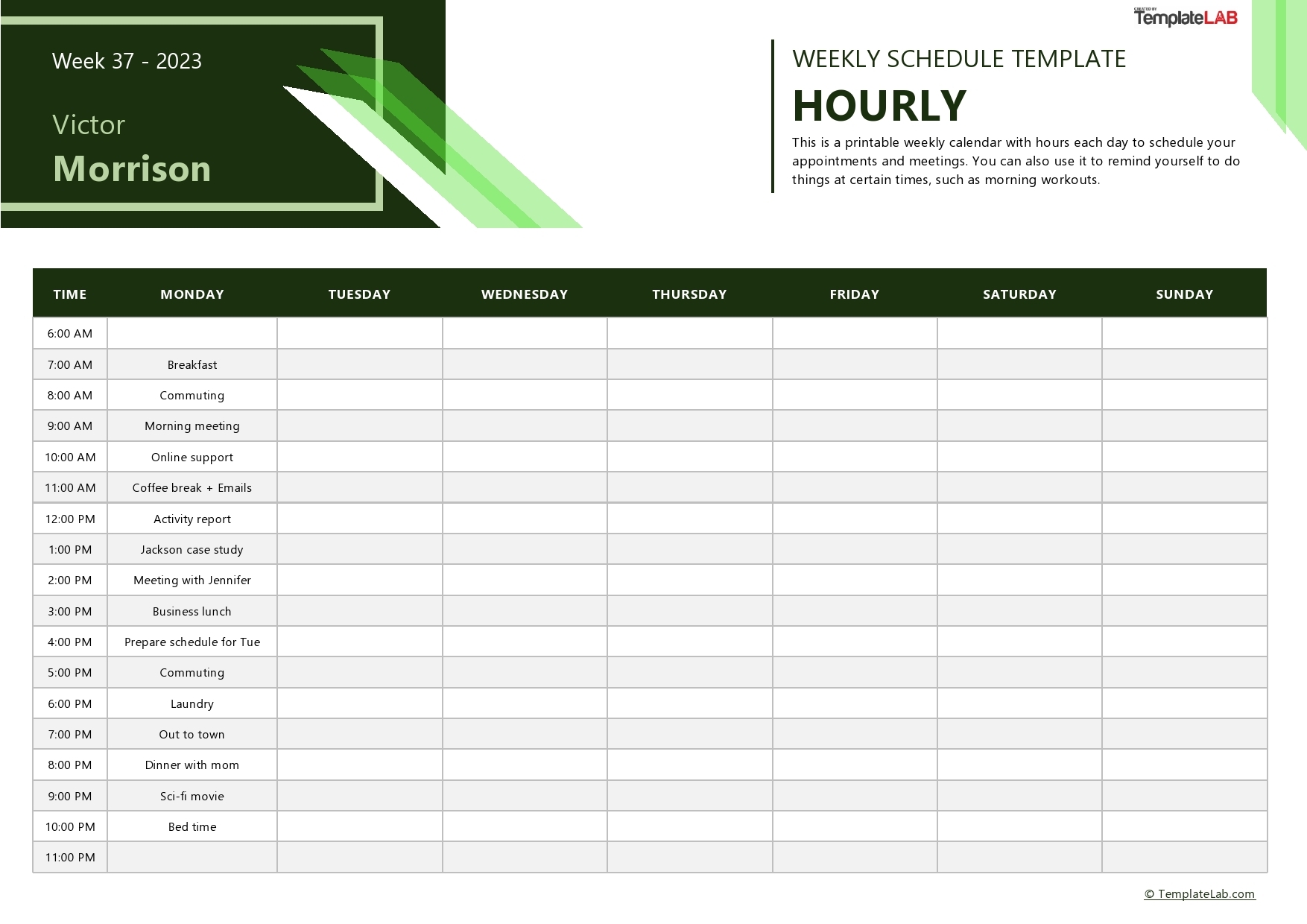 43 Effective Hourly Schedule Templates Excel Word PDF 