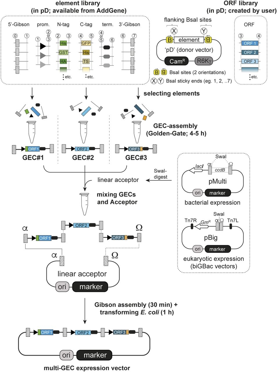 Jd Jetting Chart Between Columns