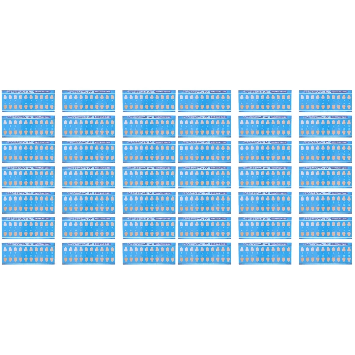 Tooth Chart With Columns And Rows