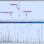 Advanced GC MS Blog Journal Open Probe Fast GC MS Real Time Analysis With Separation