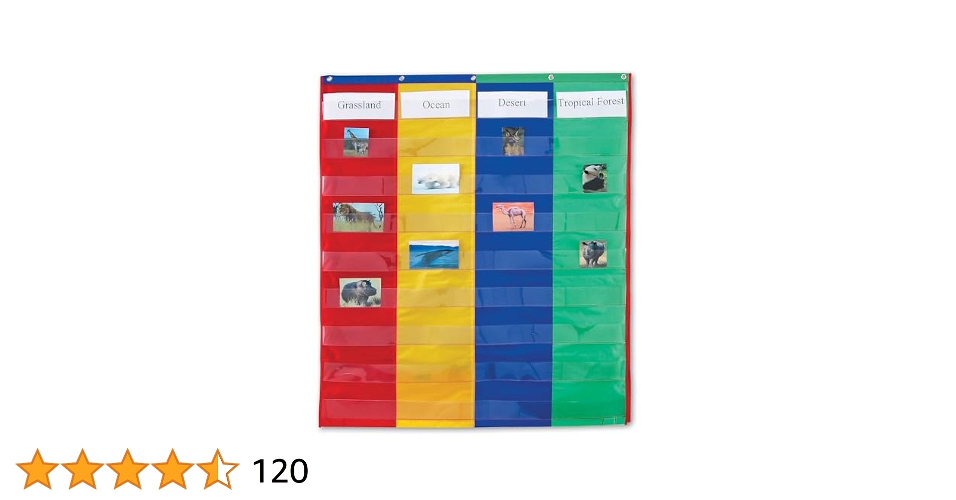 Amazon Learning Resources 2 And 4 Column Double sided Pocket Chart 30