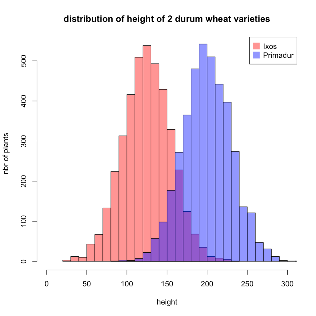 Bar Charts Vs Histograms A Complete Guide Venngage