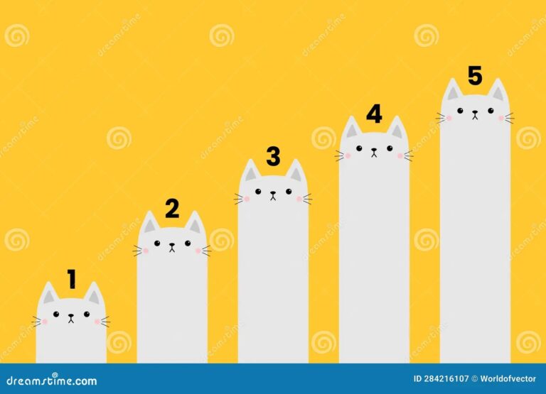 Cat Column Diagram 5 Steps Infographics Template Funny Growing 