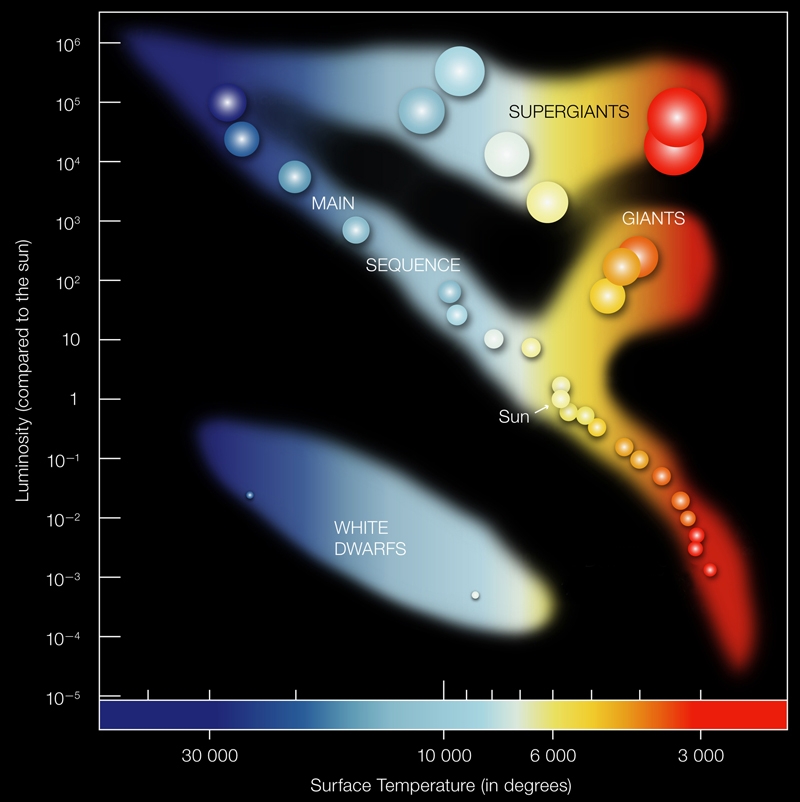 A Bilateral Column Chart Quizlet