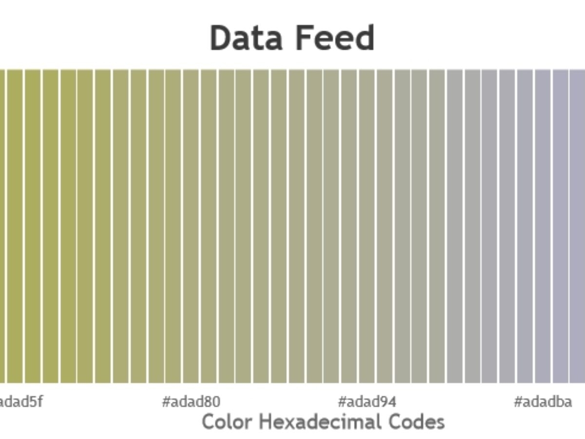 Chart Not Rendering Dynamically CanvasJS Charts Chart Not Rendering Dynamically CanvasJS Charts