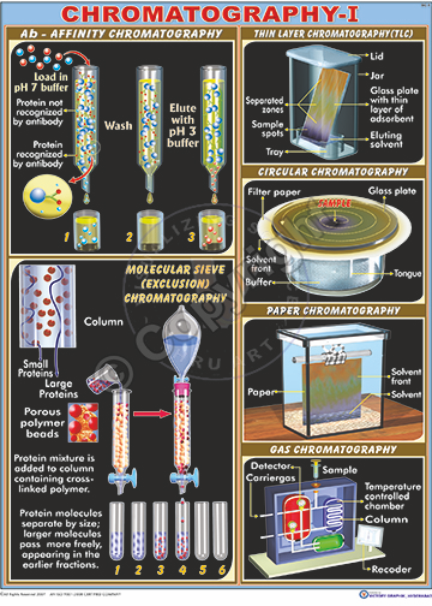 Chromatography I Chart At 320 piece Biological Charts In Hyderabad ID 8867295912