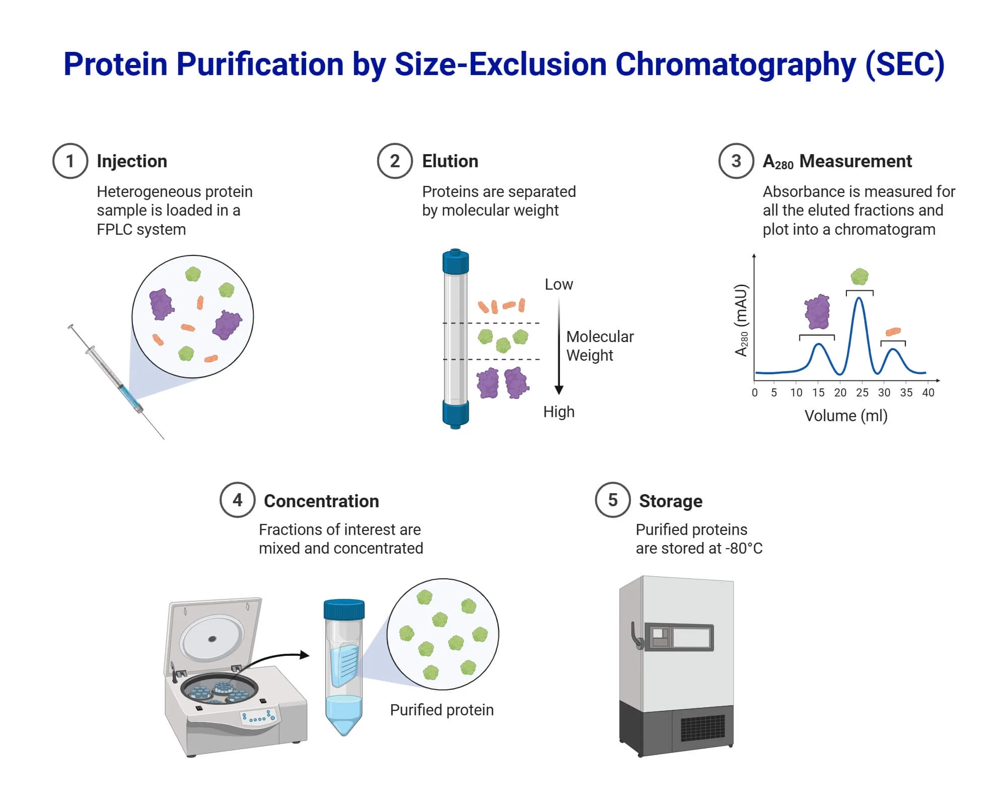 Chromatography Principle Types Steps Uses Diagram