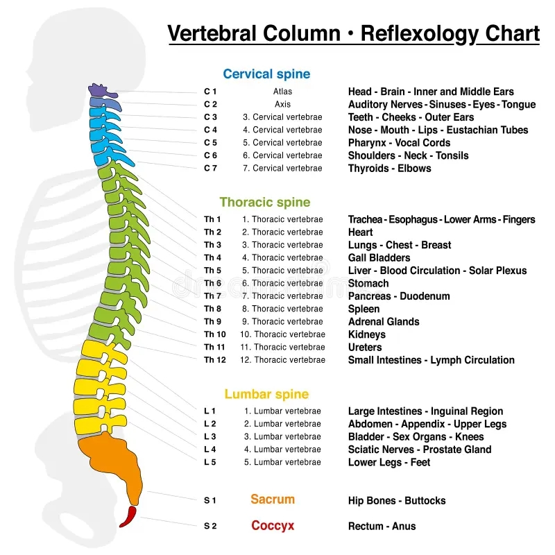 Parts Of A Column Chart