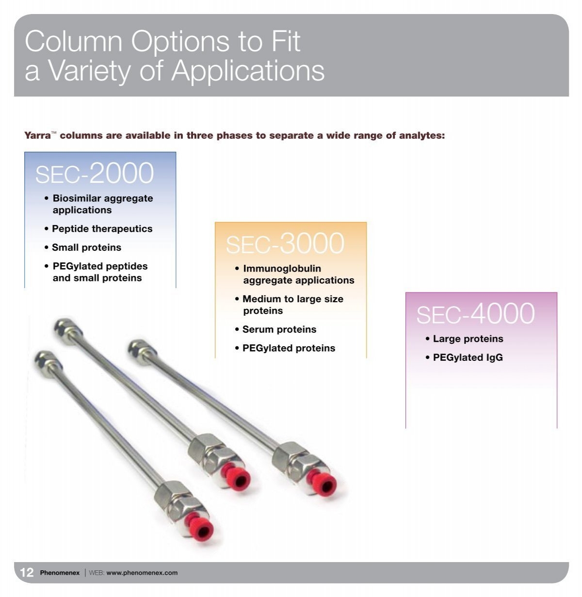 Column Options To Fit A Variety Of Applications Phenomenex