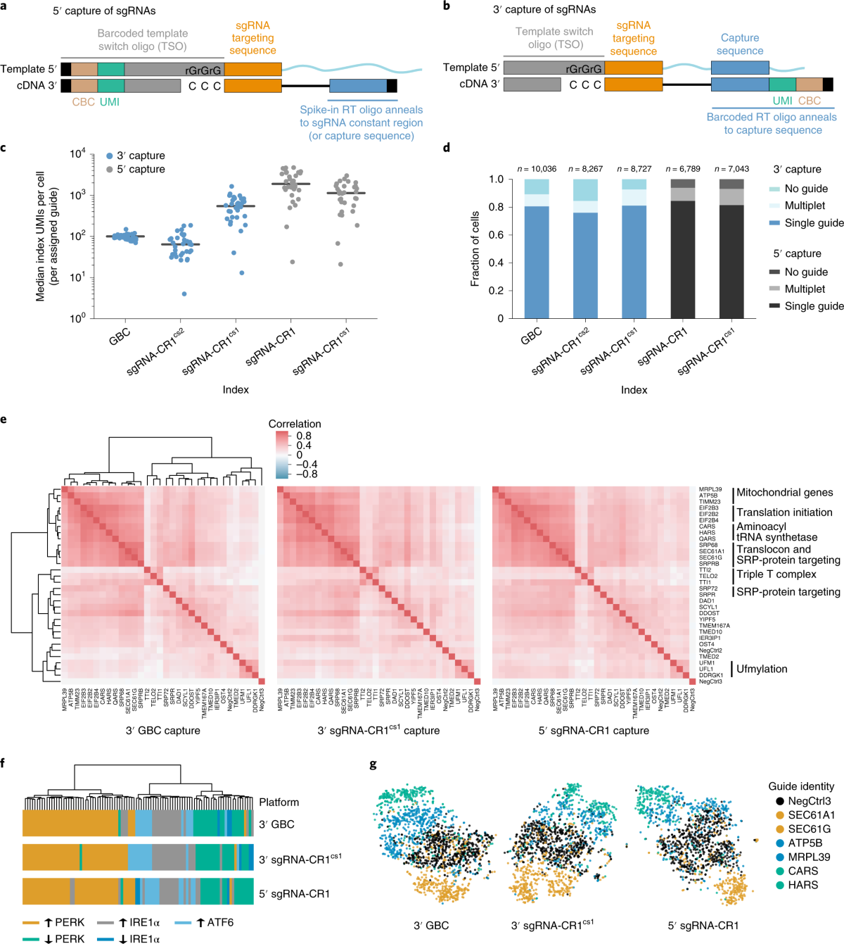 Combinatorial Single cell CRISPR Screens By Direct Guide RNA Capture And Targeted Sequencing Nature Biotechnology