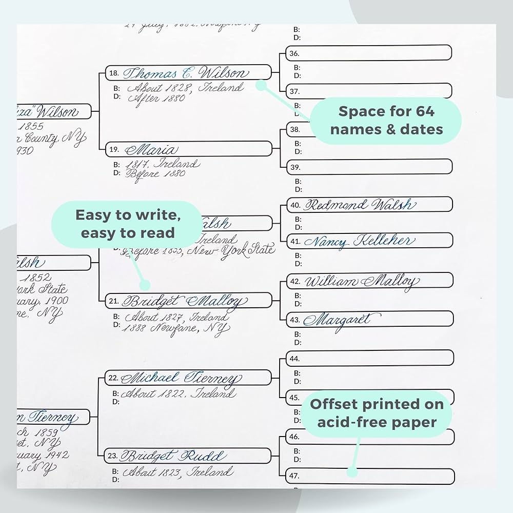 EASYGENIE LARGE PRINT Blank Pedigree Chart 6 Generations 64 Names For Ancestry Single Sheet Archival Quality Genealogy Forms Buy Online At Best Price In KSA Souq Is Now Amazon sa Office Products