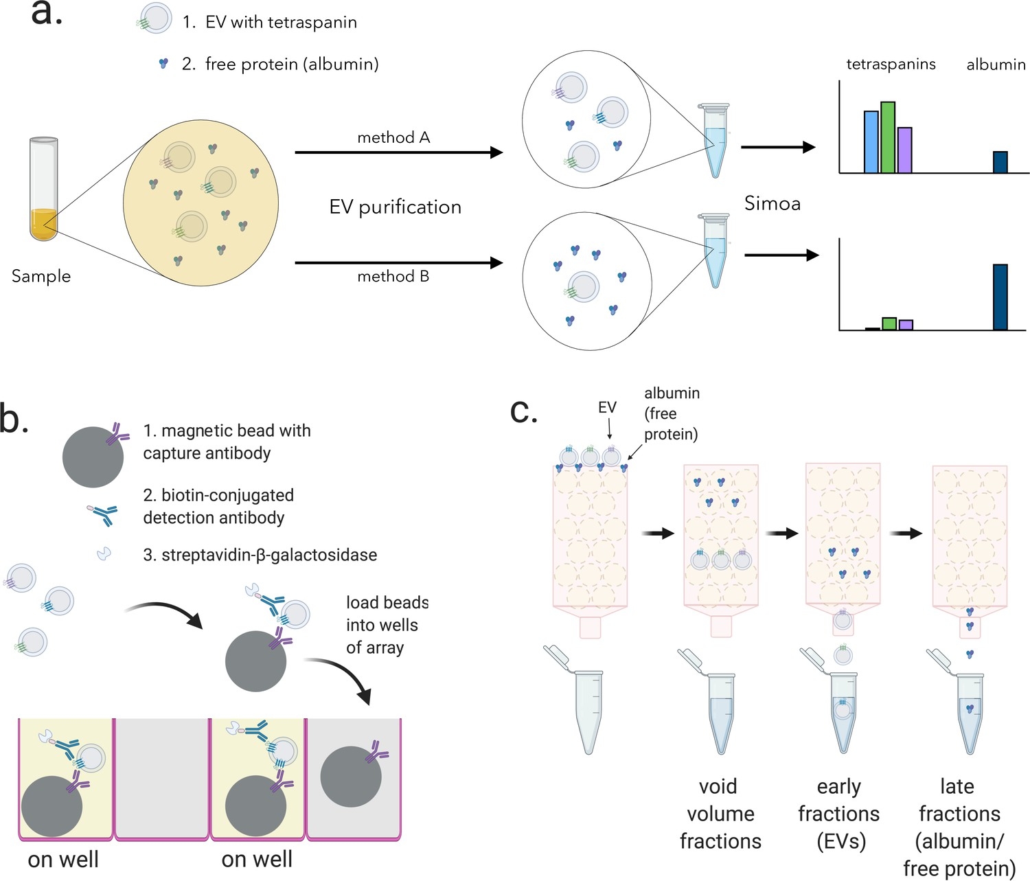 Figures And Data In Framework For Rapid Comparison Of Extracellular Vesicle Isolation Methods ELife