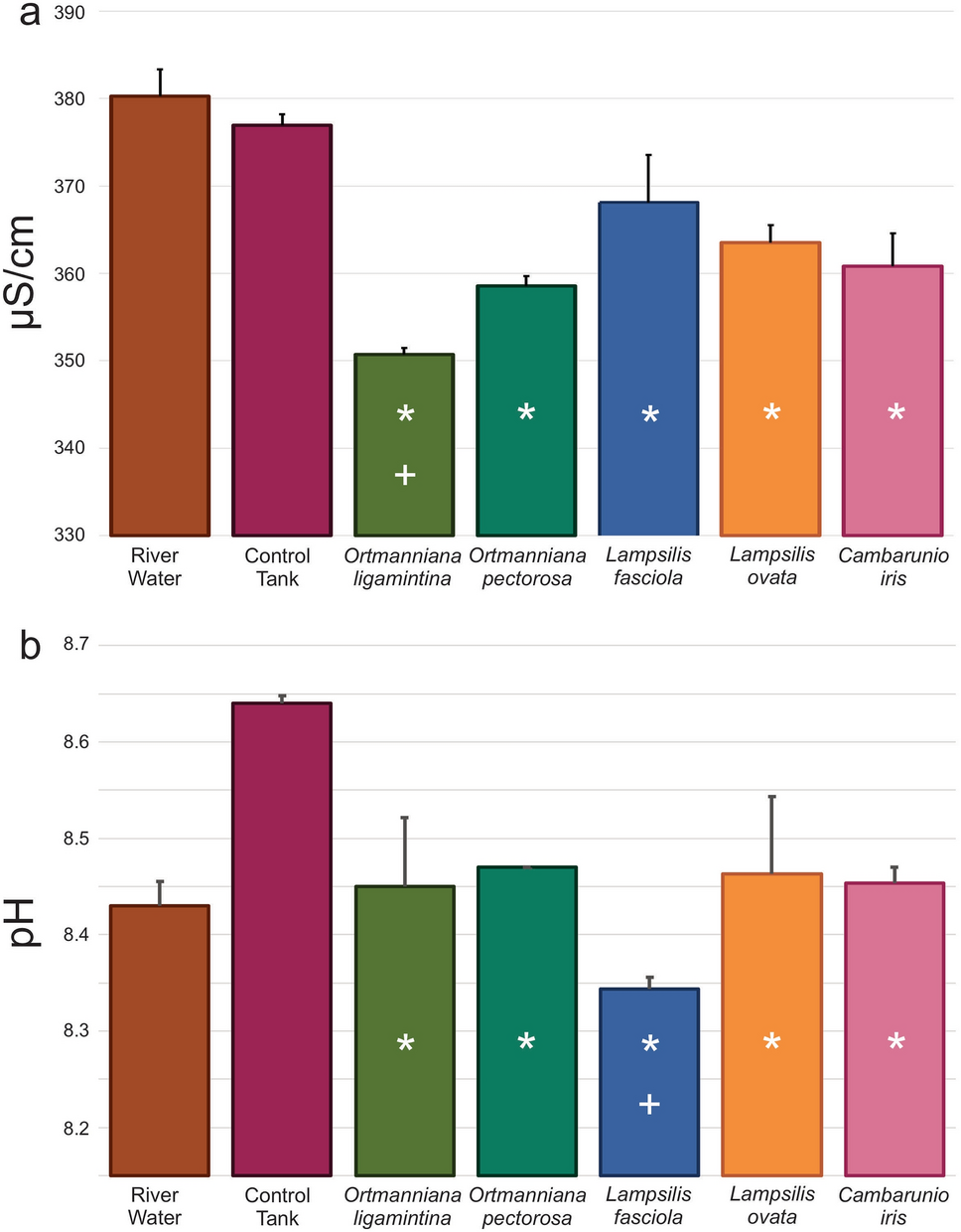 Freshwater Mussels Prefer A Diet Of Stramenopiles And Fungi Over Bacteria Scientific Reports