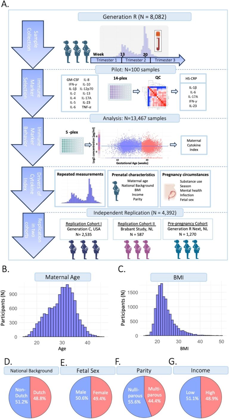 Frontiers Inflammatory Markers In Pregnancy Identifying Drivers In Four Large Cohorts