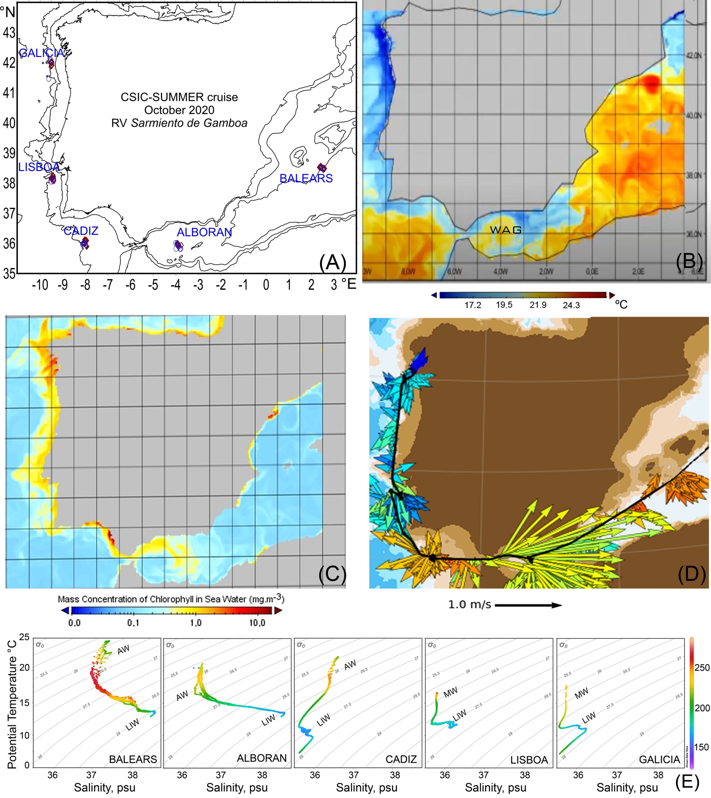 Frontiers Variation In Mesopelagic Fish Community Composition And Structure Between Mediterranean And Atlantic Waters Around The Iberian Peninsula