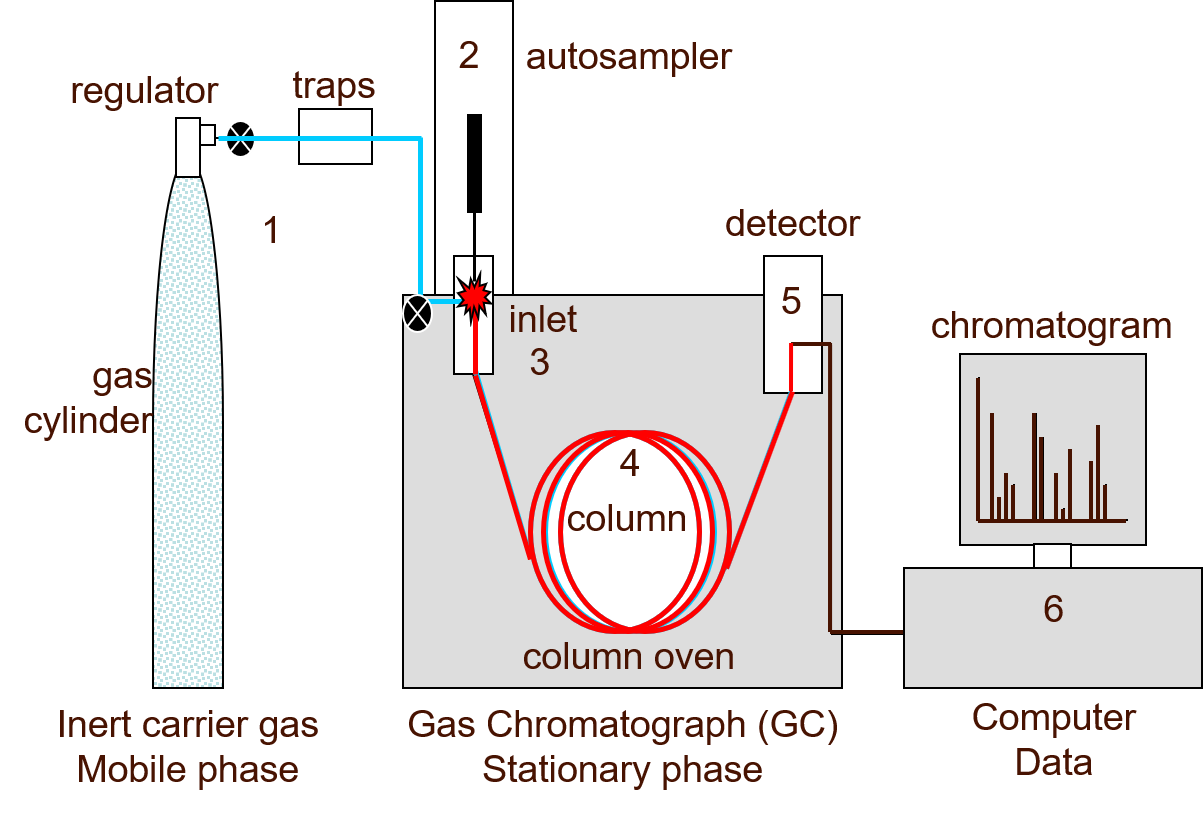 Gas Chromatography How A Gas Chromatography Machine Works How To Read A Chromatograph And GCxGC Technology Networks