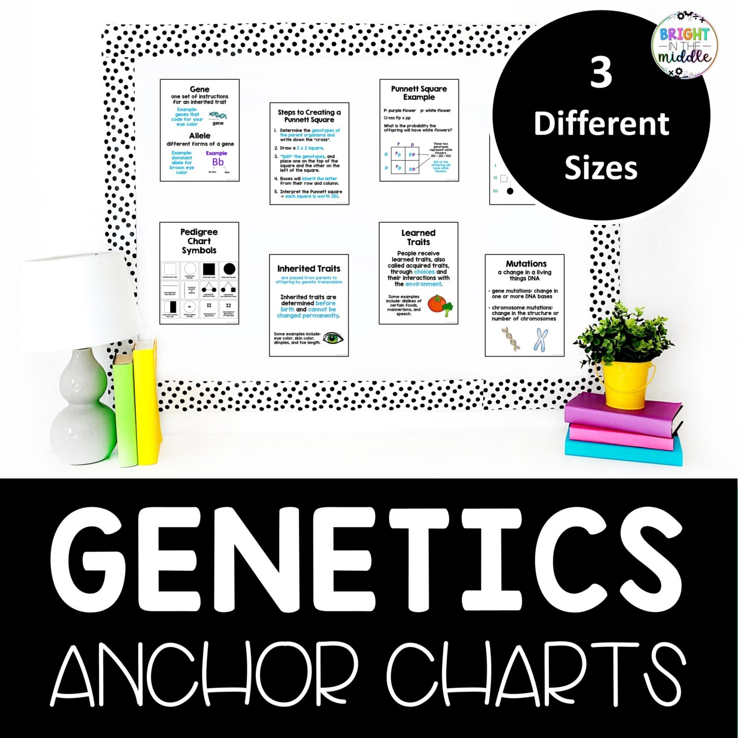Row And Column Anchor Chart
