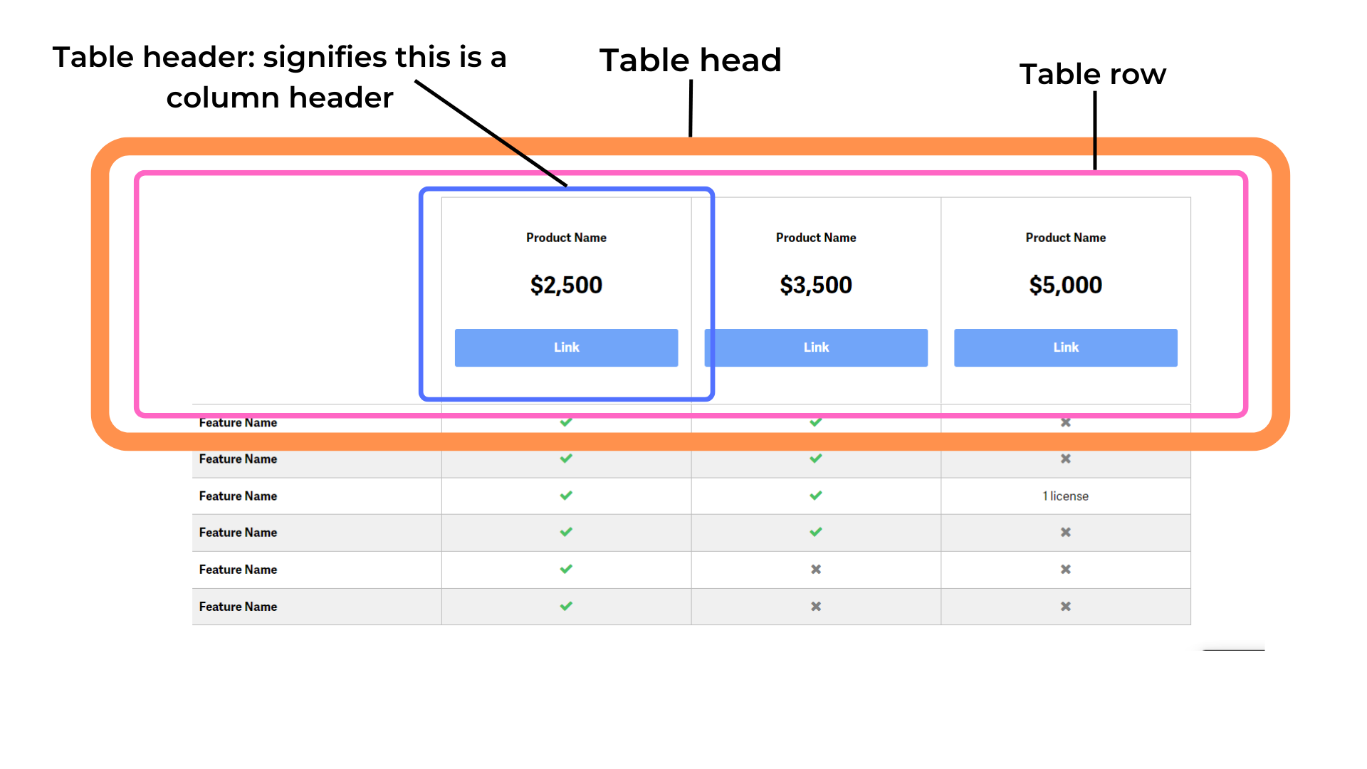 Chart Column Widths In Html