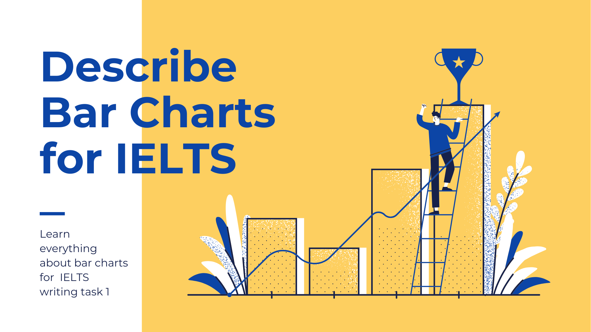 Describing Bar Charts And Column Charts