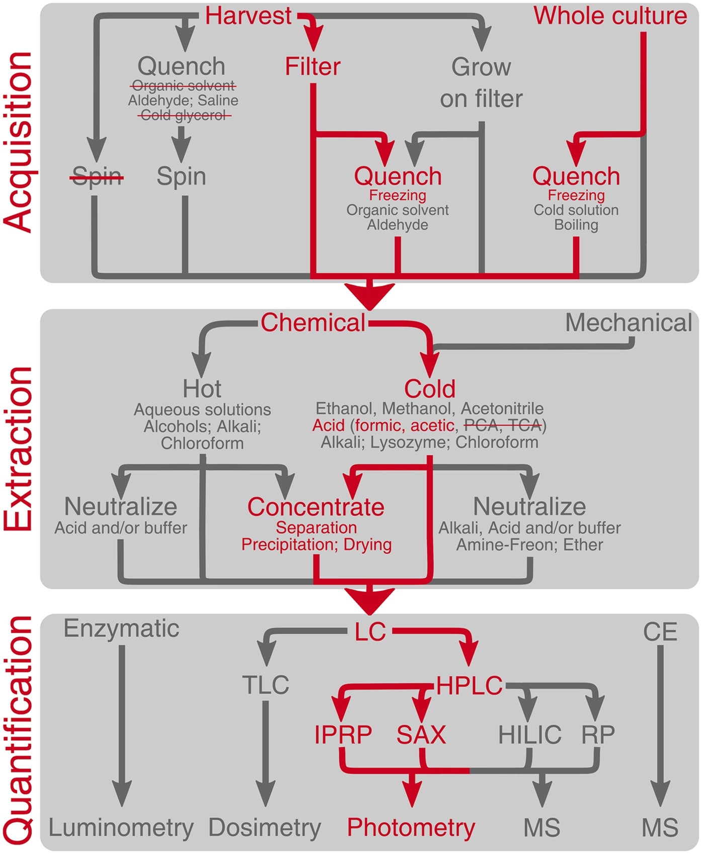 HPLC based Quantification Of Bacterial Housekeeping Nucleotides And Alarmone Messengers PpGpp And PppGpp Scientific Reports