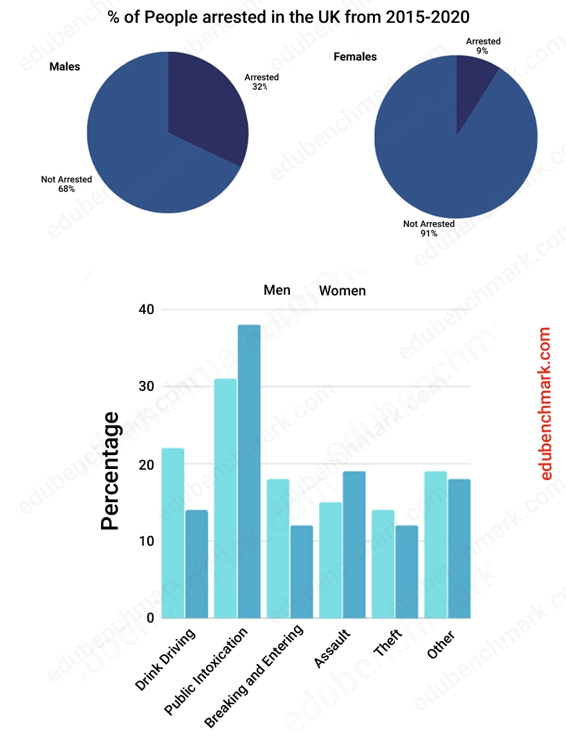IELTS Pie Chart And Bar Graph For Writing Task 1 Sample