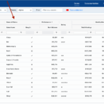 Javascript AG Grid Column Chooser With Parent Groups But 