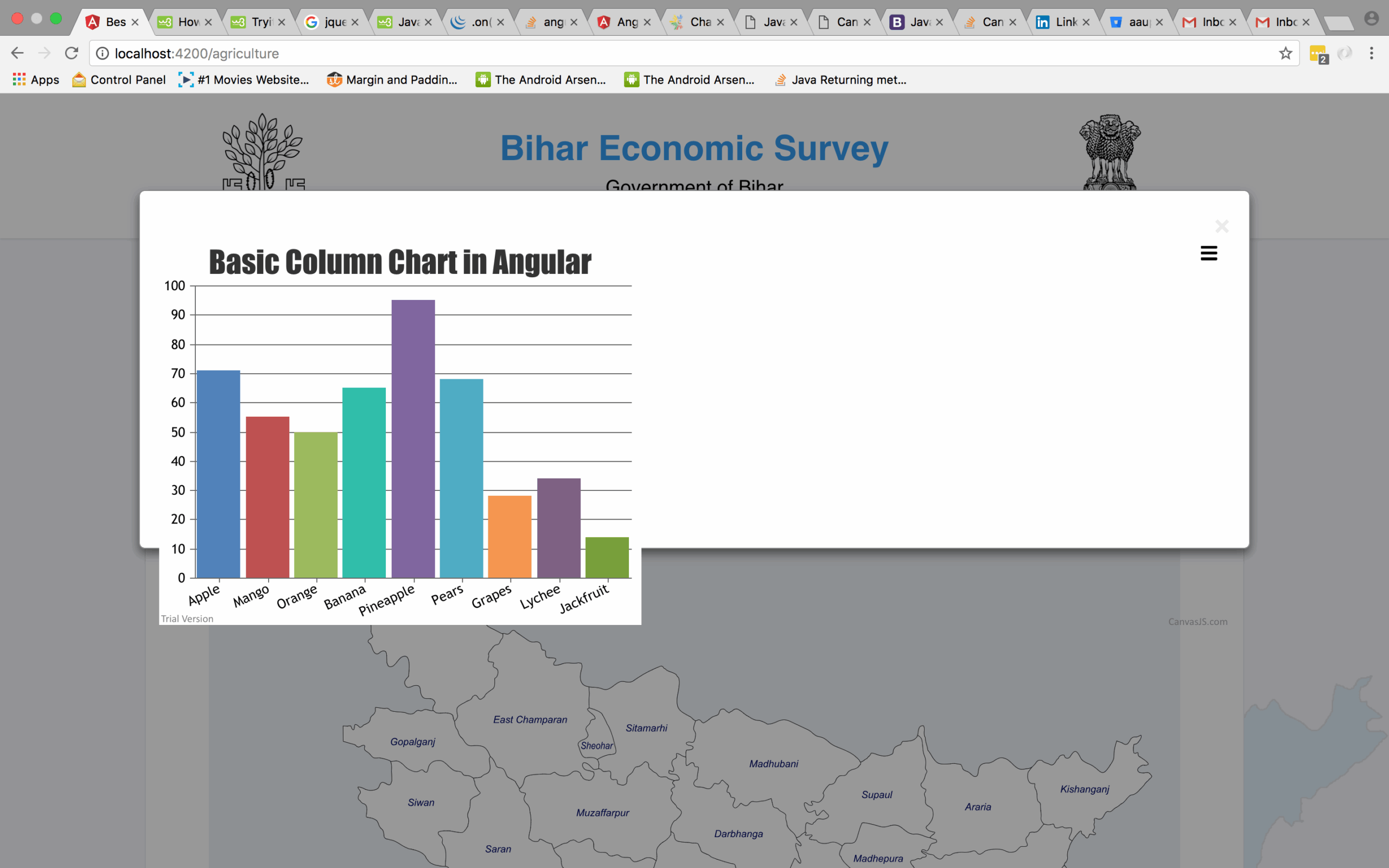 Javascript Canvas Js Chart Not Loading Full Width Inside Modal 