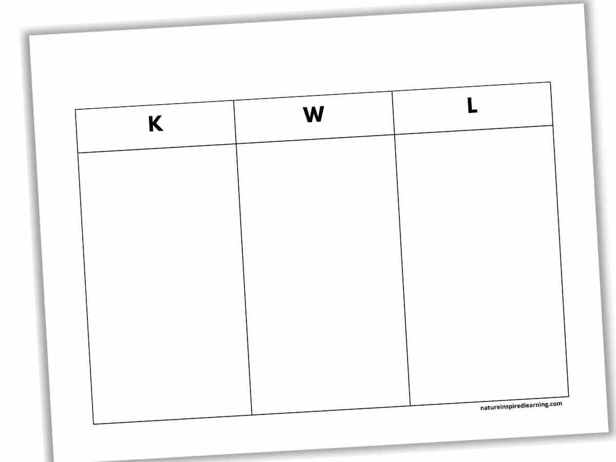 Three Column Blank Chart