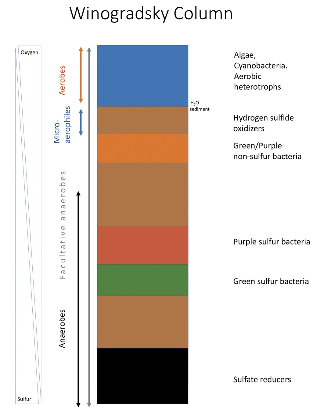 Mud As A Phenomenon To Model Energy Flow And Chemical Processes NSTA