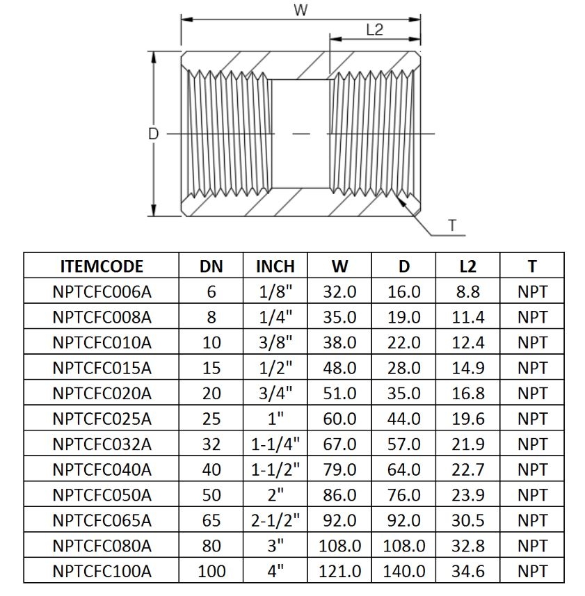 NPT Full Coupling CL3000 Prochem