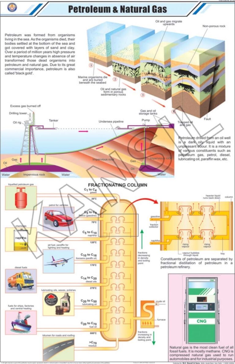 Petroleum U0026 Natural Gas For General Science Chart At 269 piece In New Delhi ID 2900144333