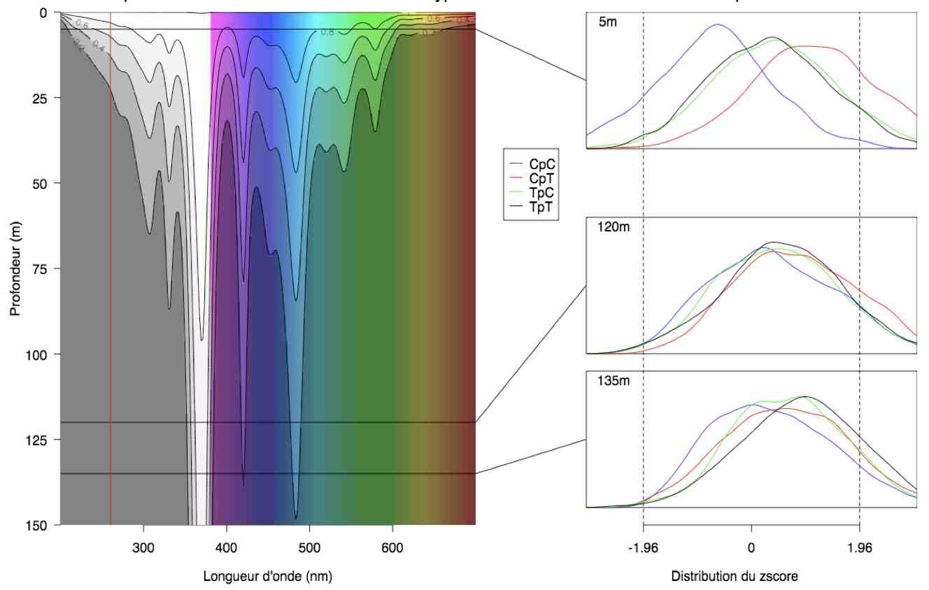 R Light Absorption By The Water Column R Light Absorption By The Water Column