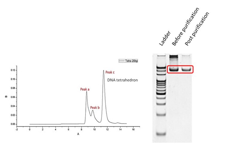 Review For Phenomenex Biosep S4000 HPLC Column Biocompare Product Review 