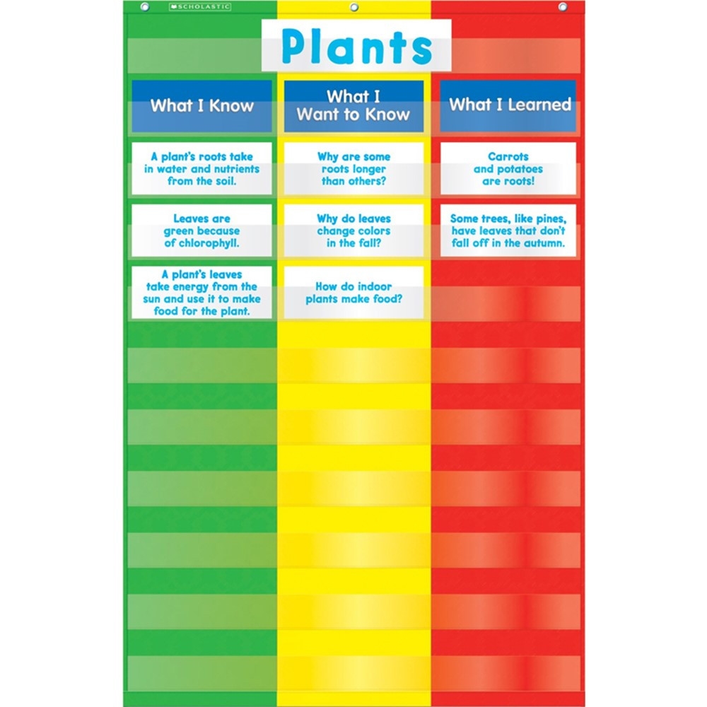 Scholastic 3 Column Chart Pocket Chart With Cards TF 5114 Scholastic Teaching Resources Pocket Charts