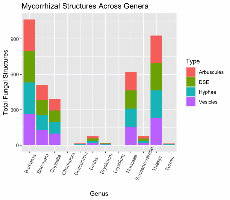 Stacked Bar Chart Spacing Within Each Column ggplot2 Stack Overflow