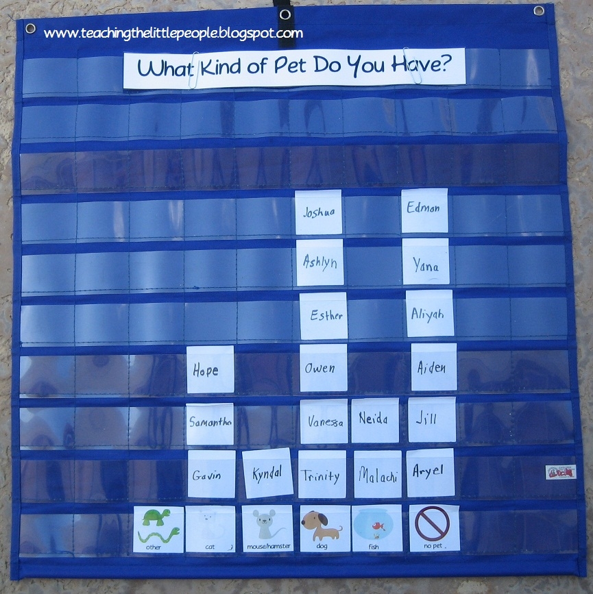 Teaching The Little People Graphing Pets In Preschool