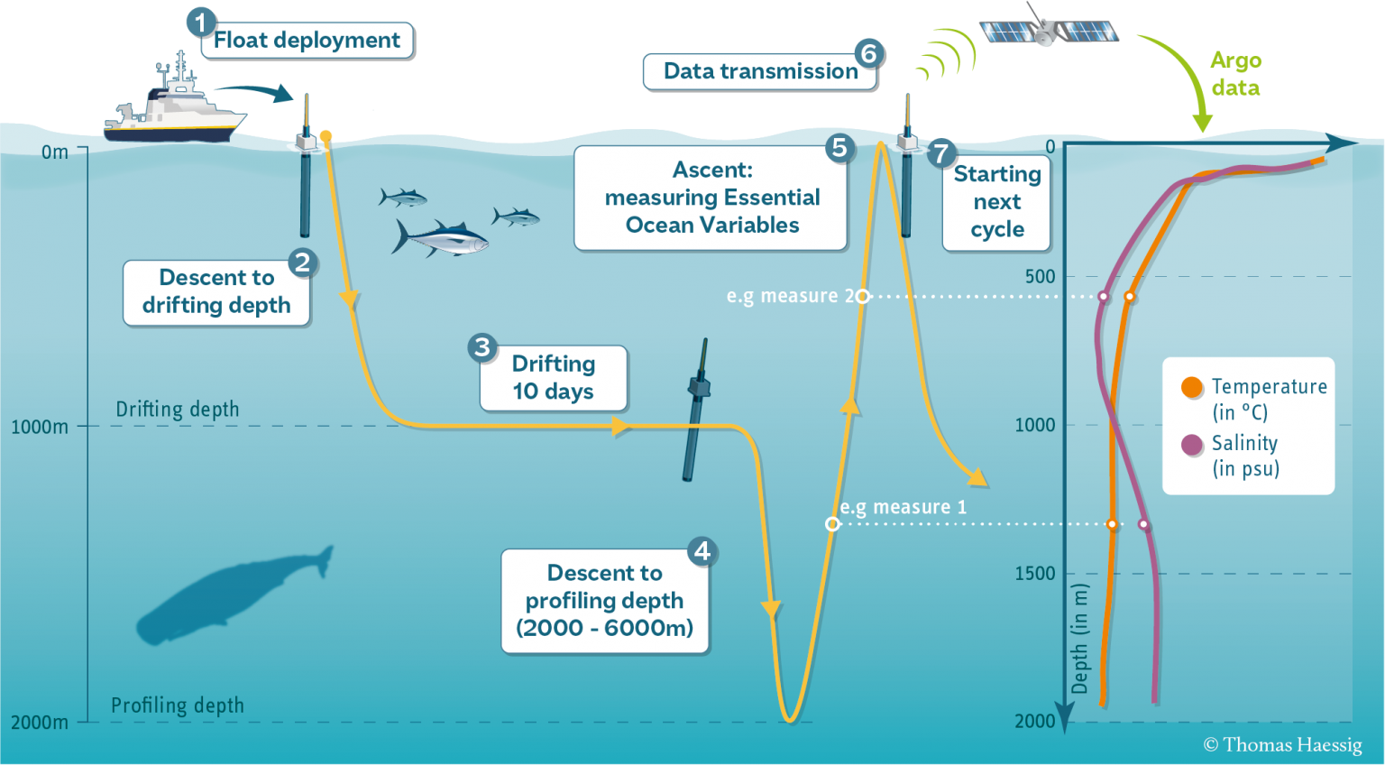 The Water Column Intro To Physical Oceanography