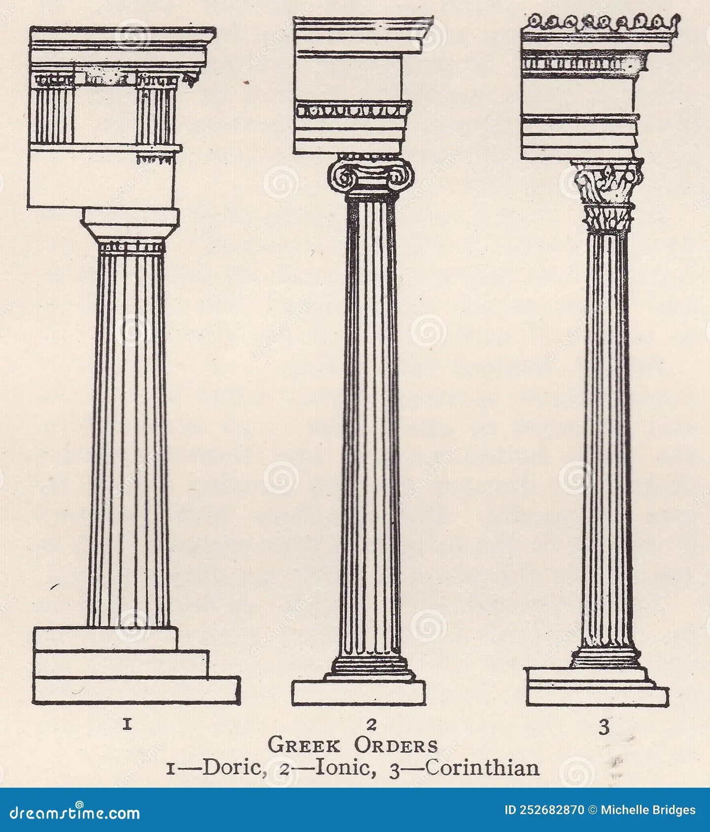 Vintage Illustration Diagram Of Columns Greek Orders Editorial 