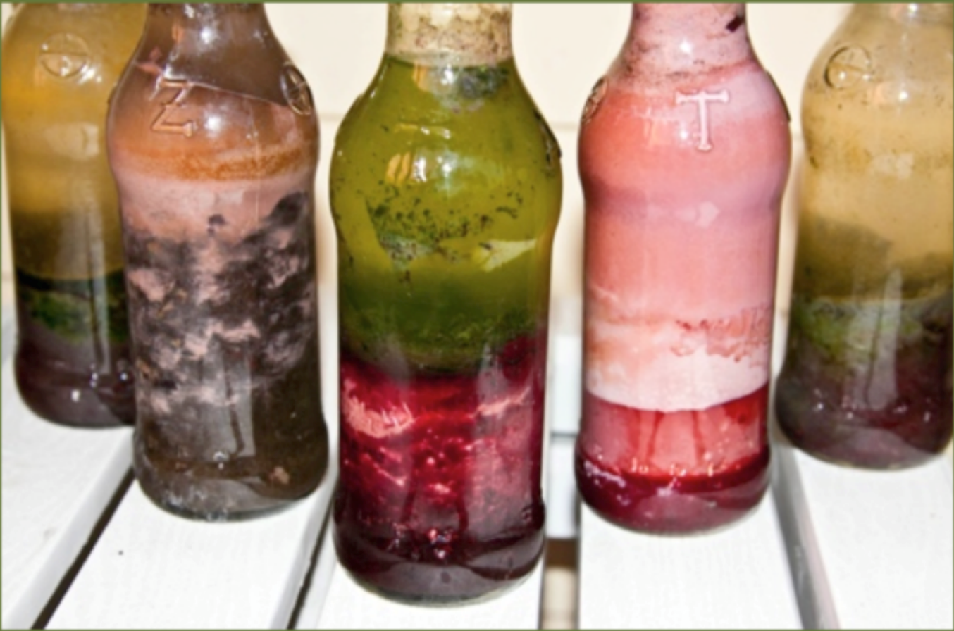 Winogradsky Column Chart